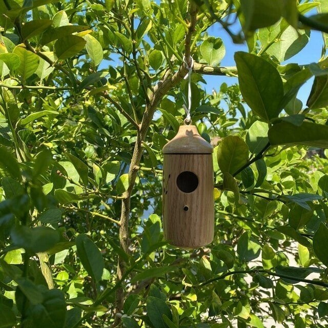 Last Day Sale 49% OFF💕Wooden Hummingbird House-Gift for Nature Lovers