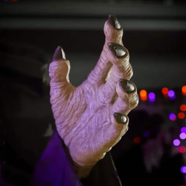 🔥Early Halloween Promotion 49% OFF🔥 - Flying Witch